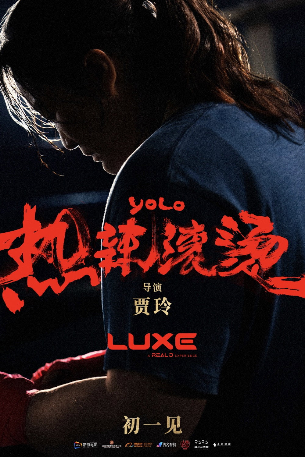 Yolo 2024 Posters The Movie Database TMDB 