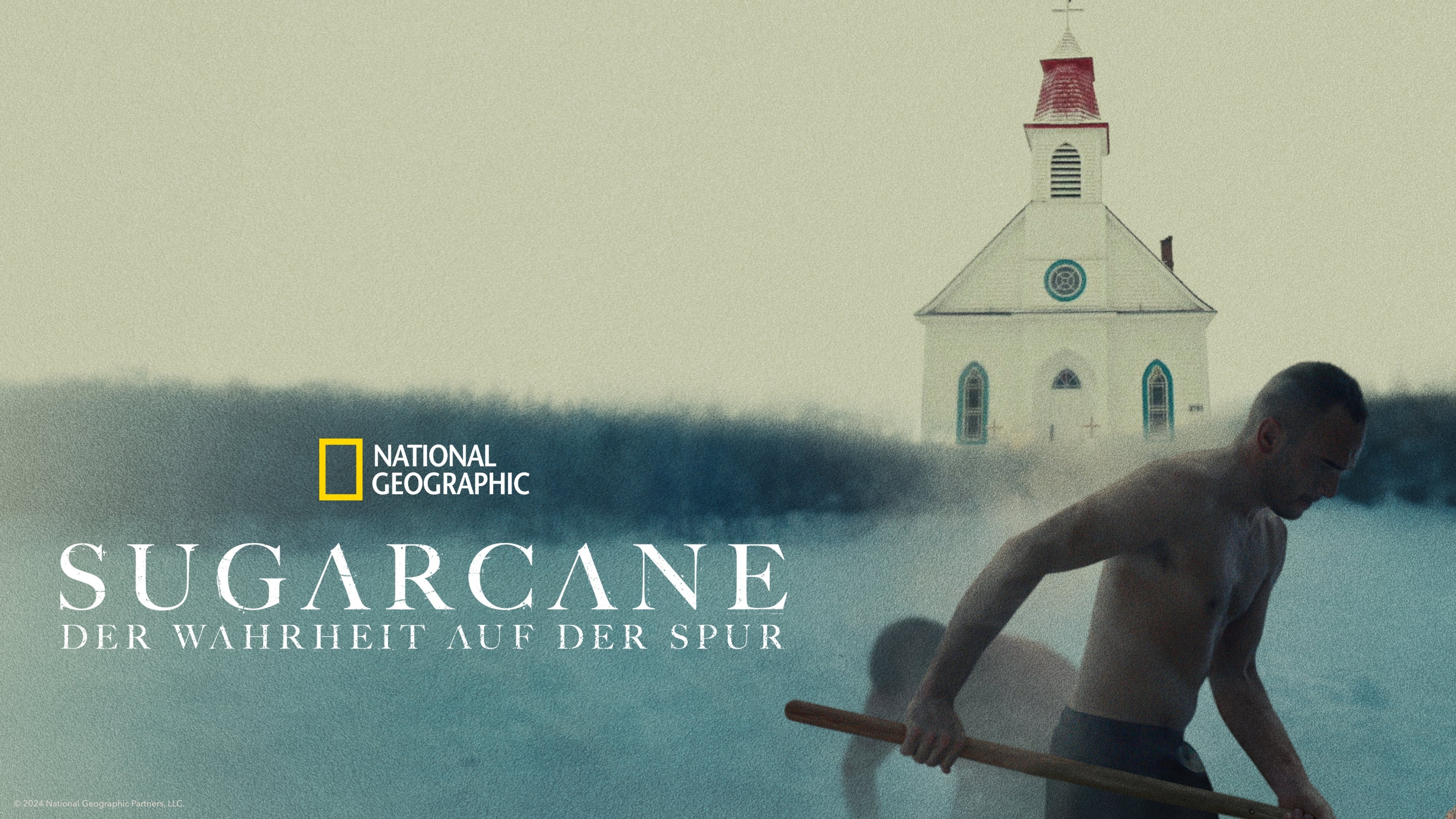 Sugarcane