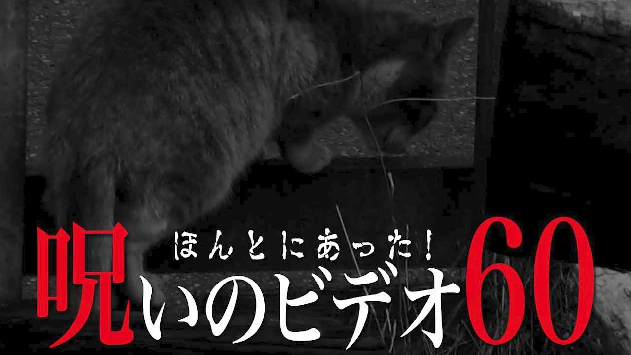 Backdrop ほんとにあった!呪いのビデオ60