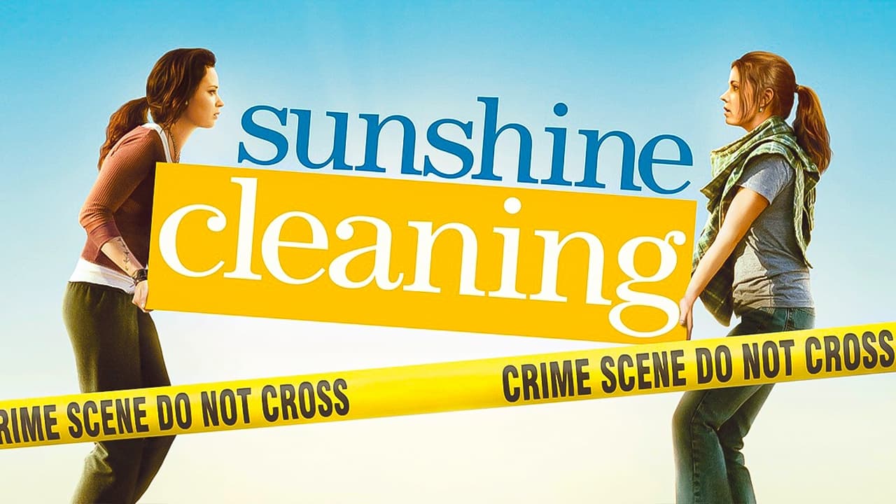 Sunshine Cleaning