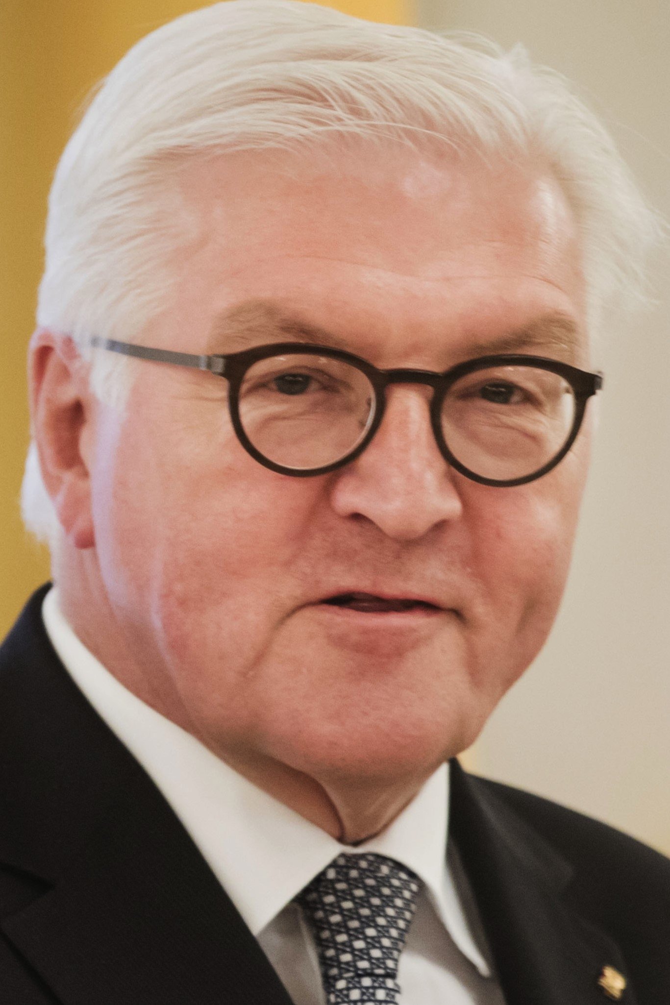 et billede af Frank-Walter Steinmeier