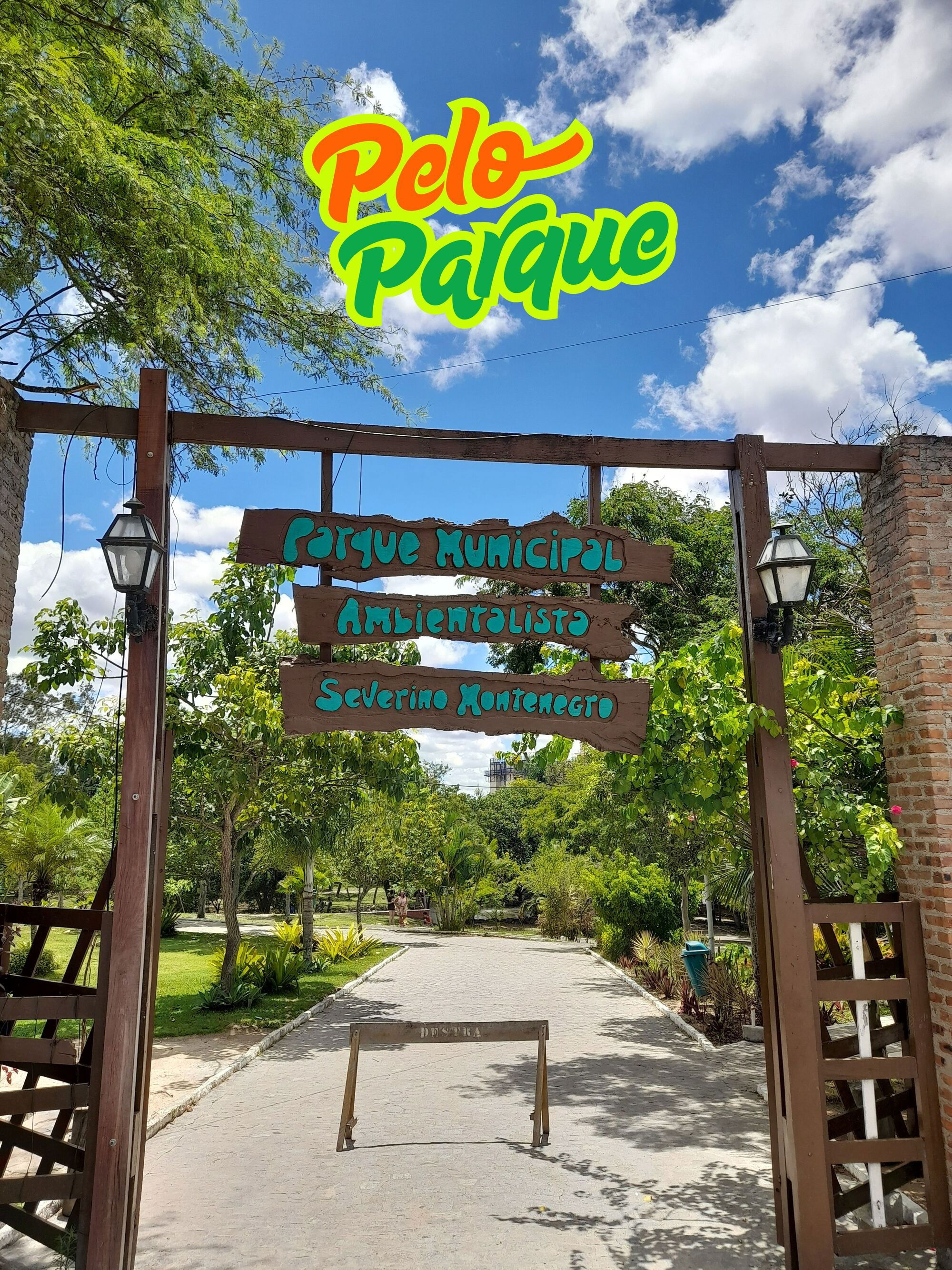 Pelo Parque