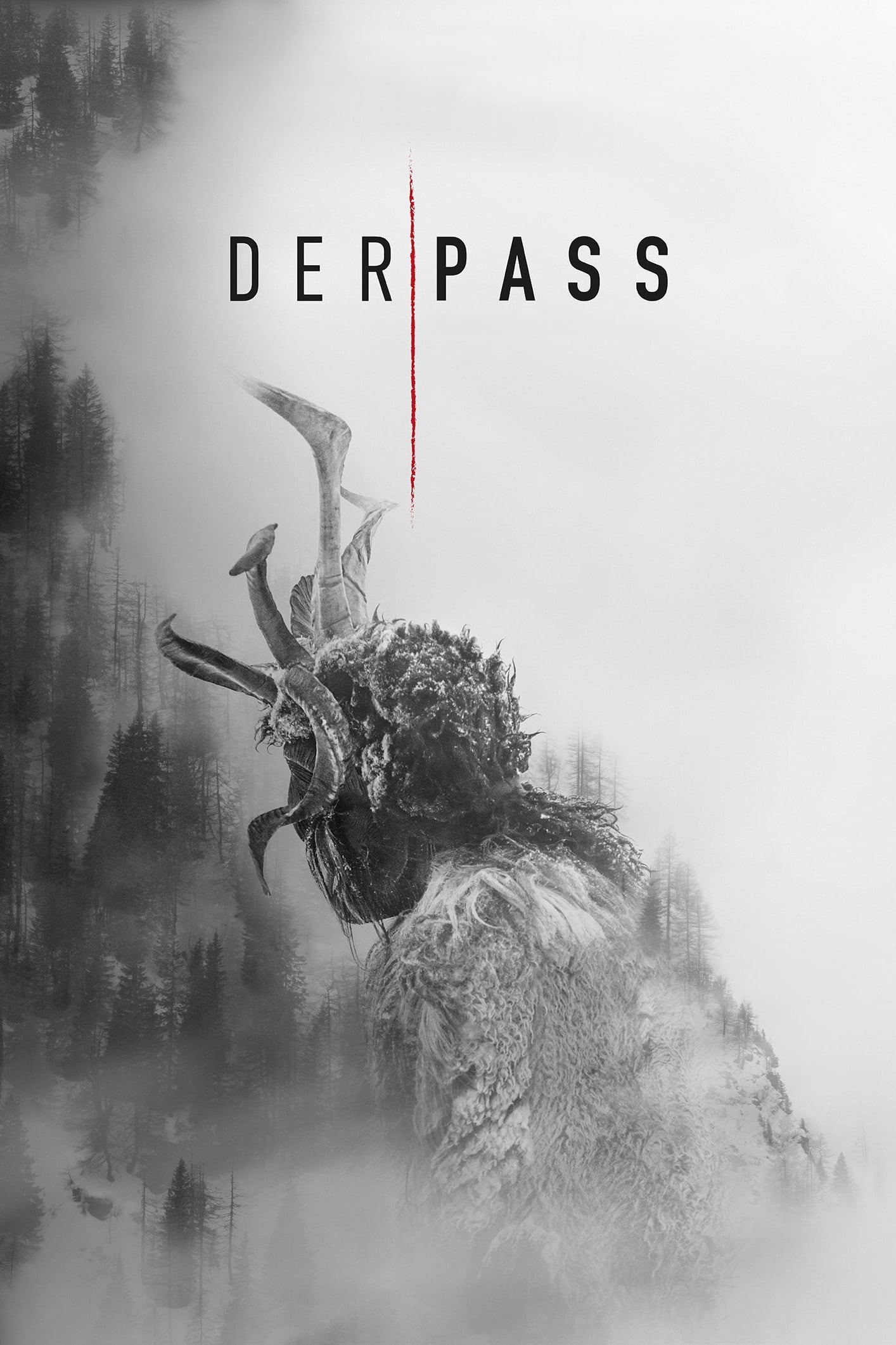 Der Pass Poster