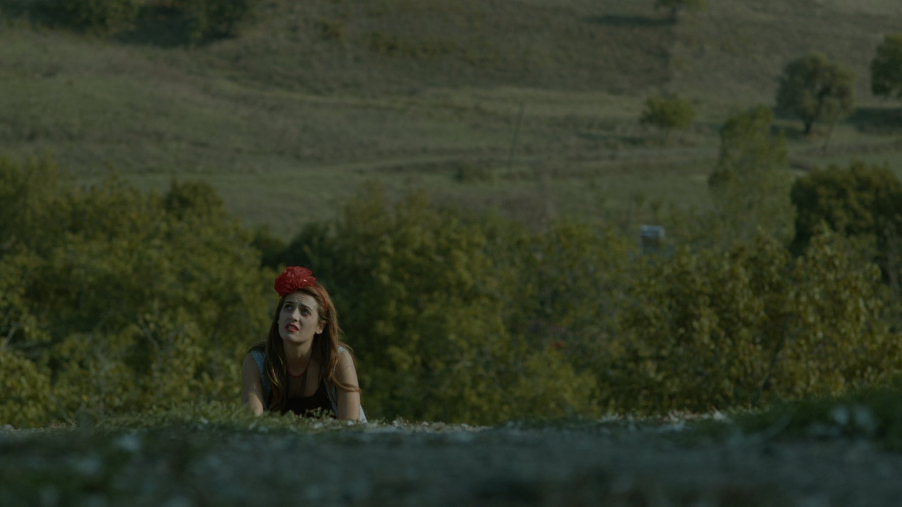 The Seagull (2018)