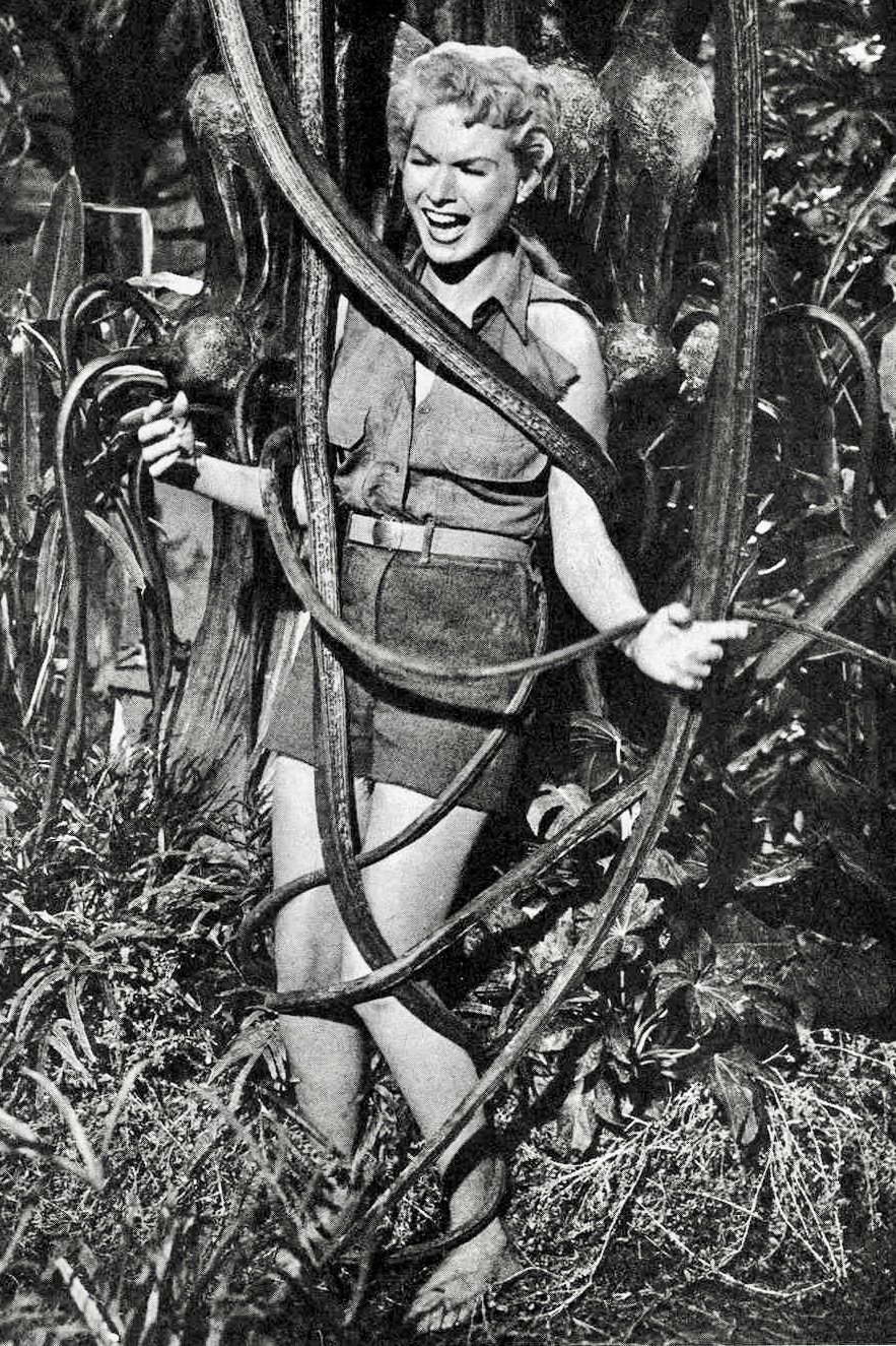 Shirley Patterson