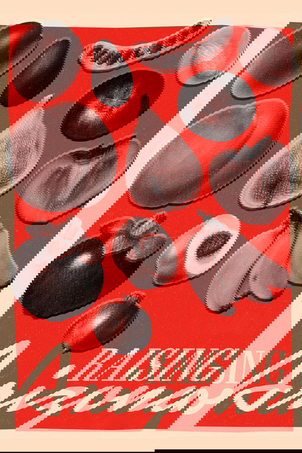 Raising Arizona