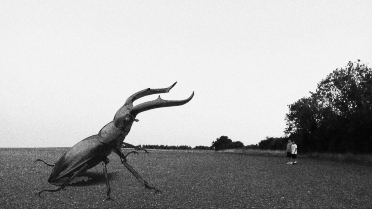 Imagem do Filme Unto Insecta