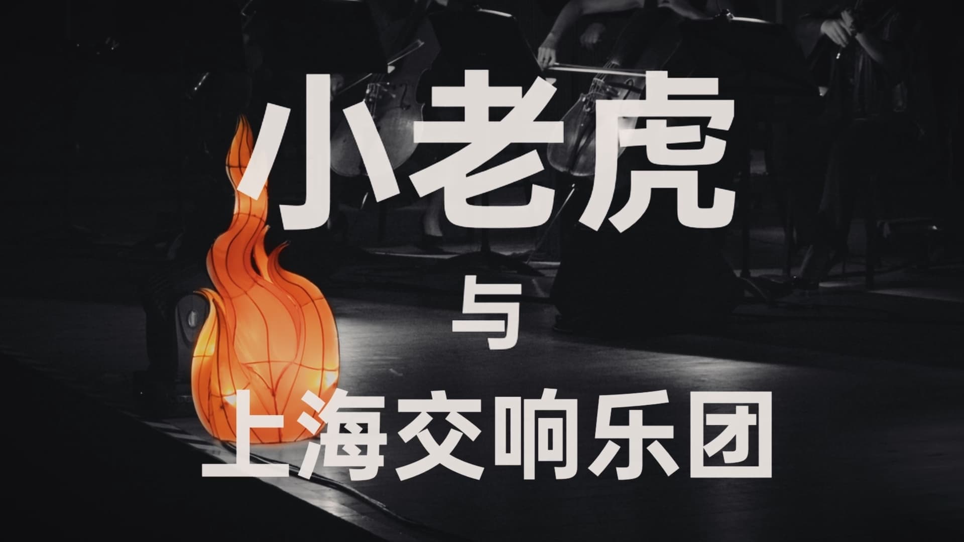 一把火 一张嘴 ：小老虎与上海交响乐团