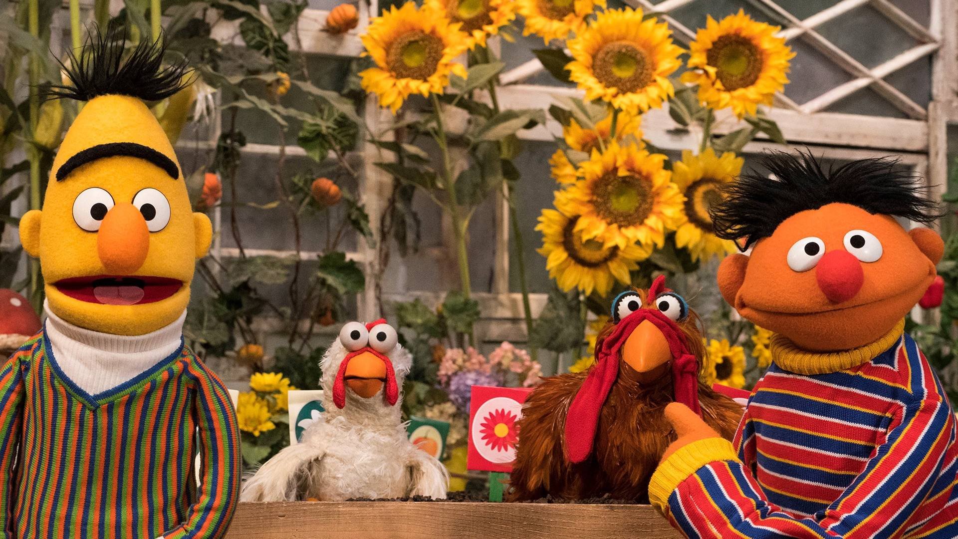 Sesame Street