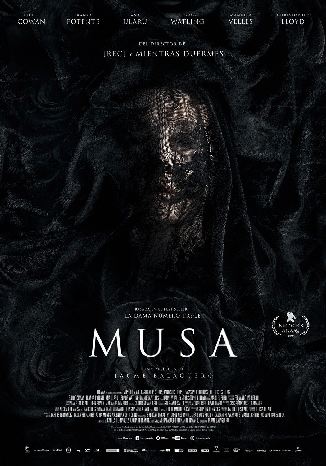 Affiche du film Muse 23587