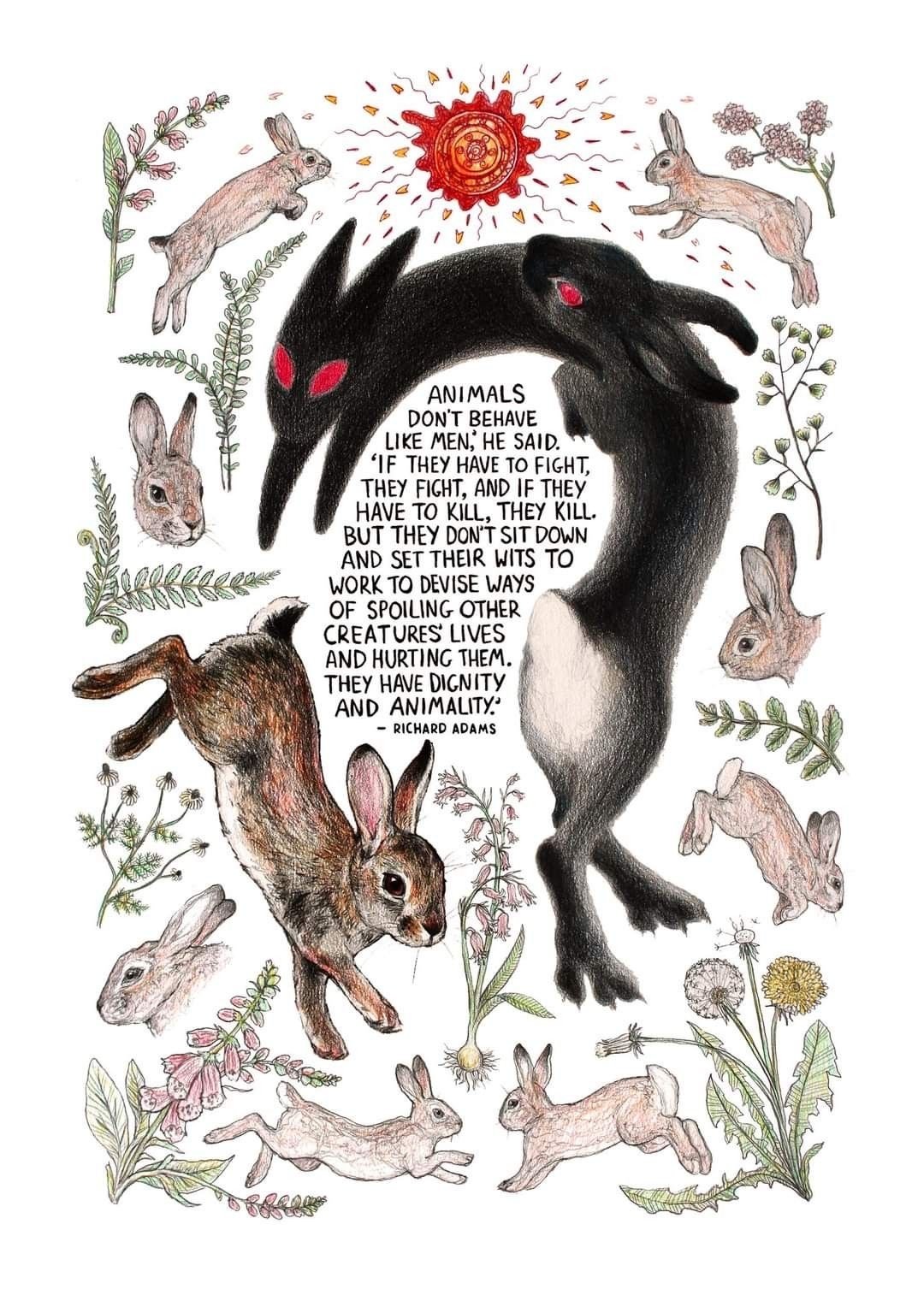 Watership Down