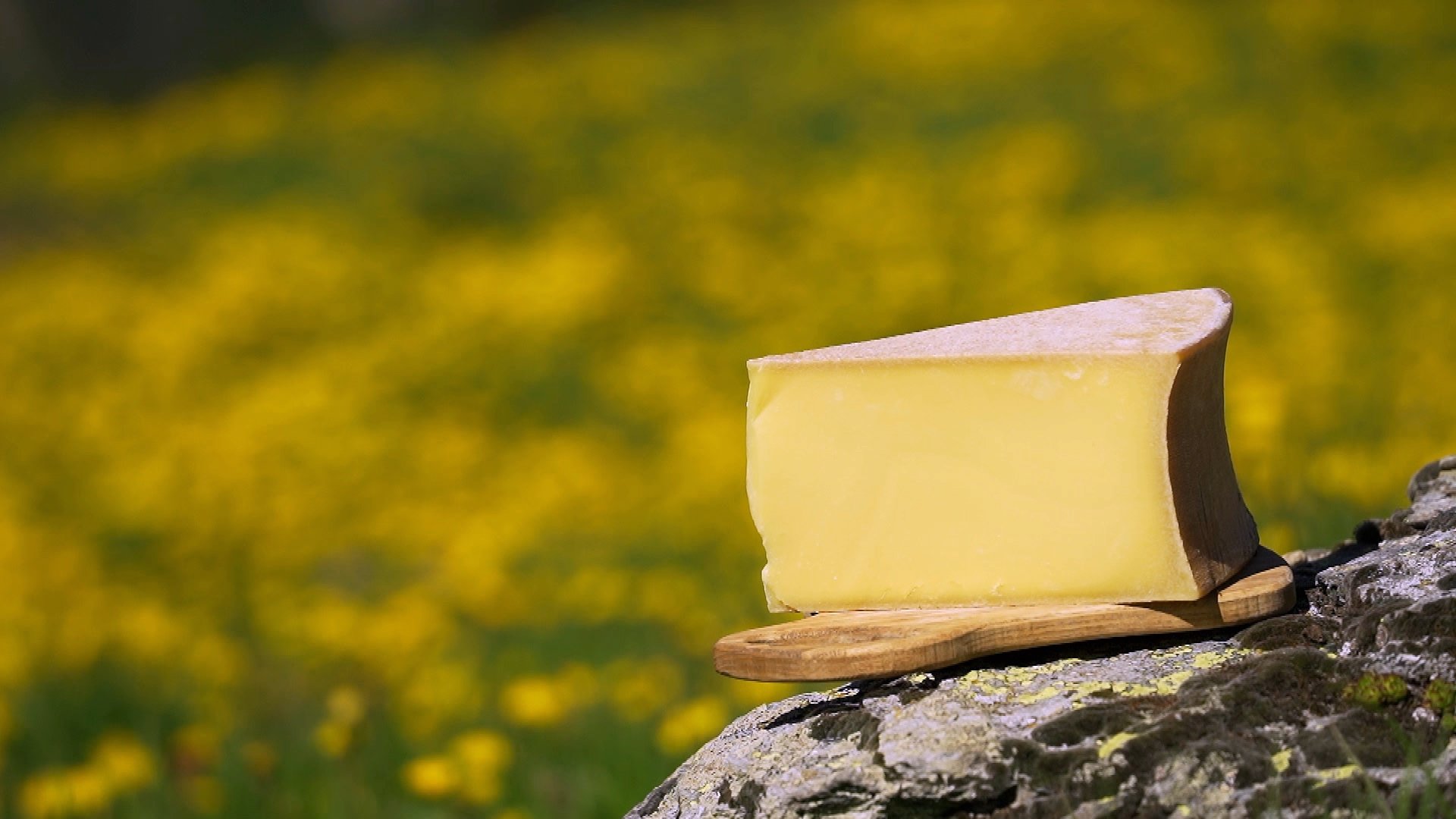 Fromages de montagne, au sommet du gout ? (2020)