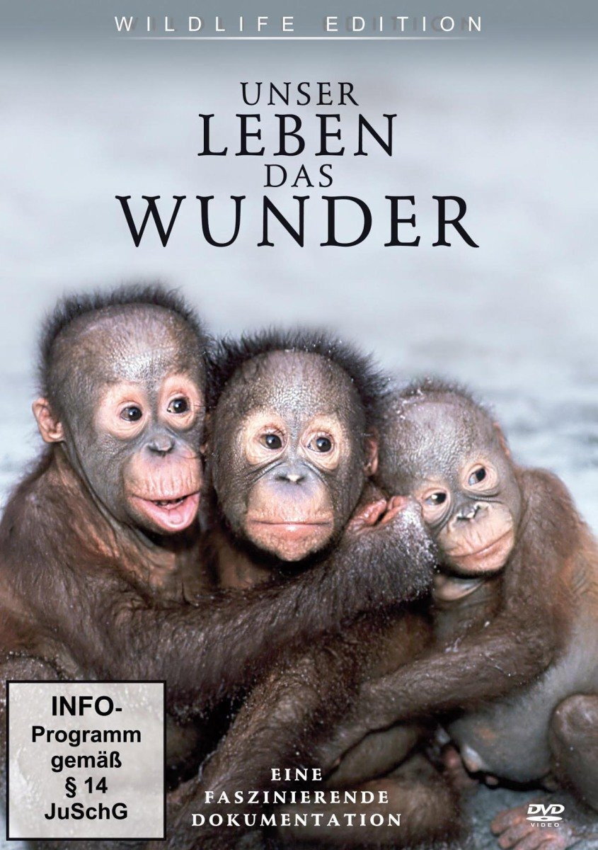 Unser Leben das Wunder