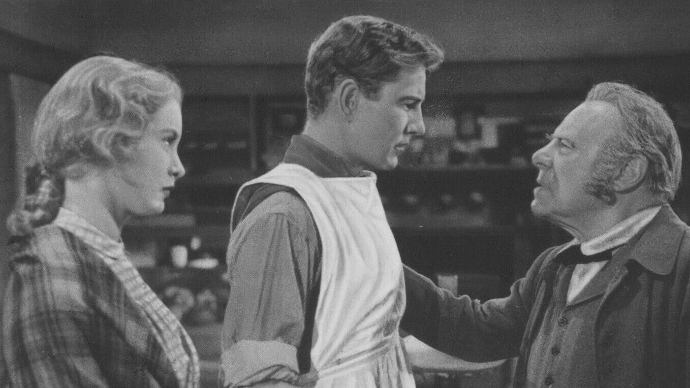 Hills of Home (1948)
