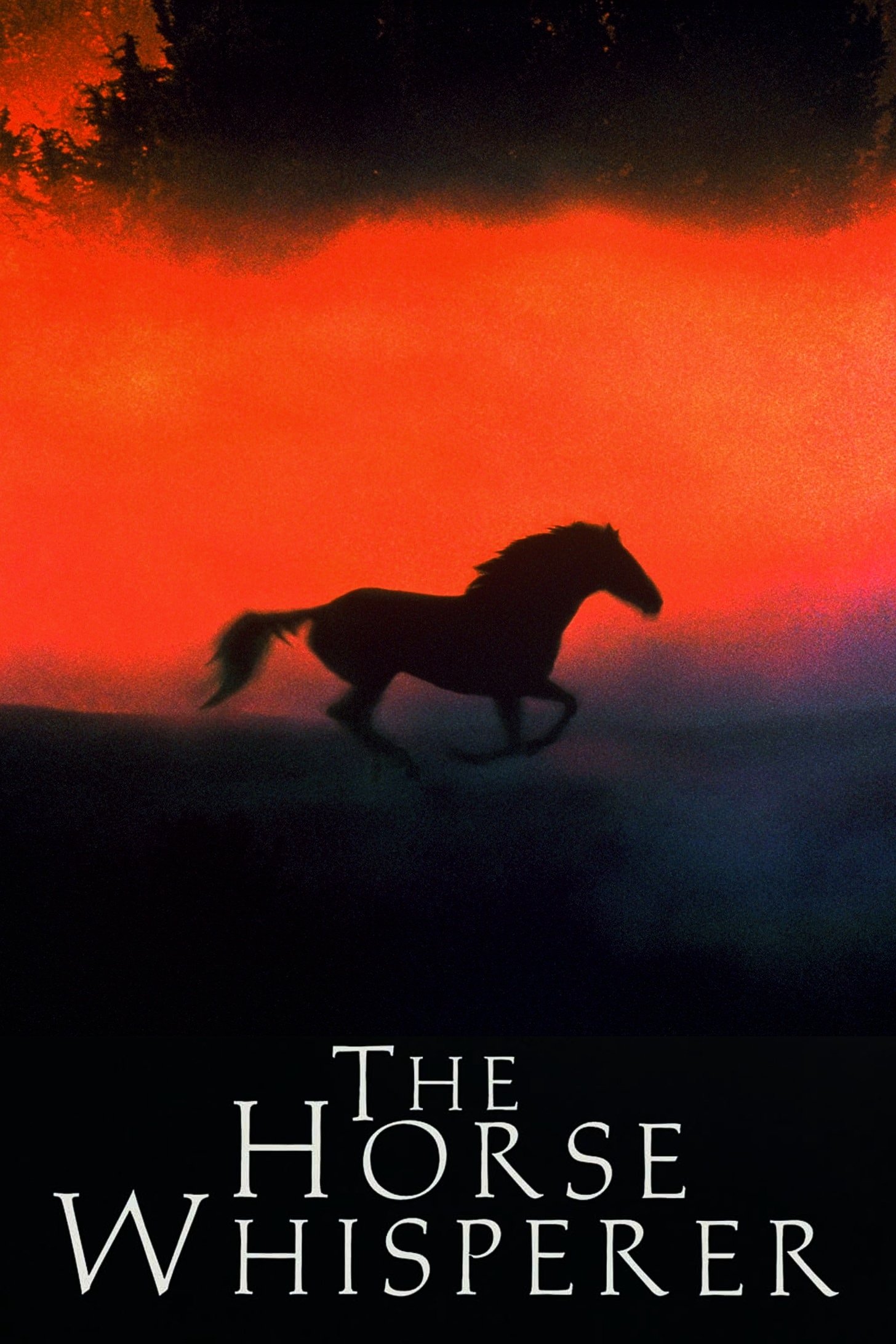 The Horse Whisperer