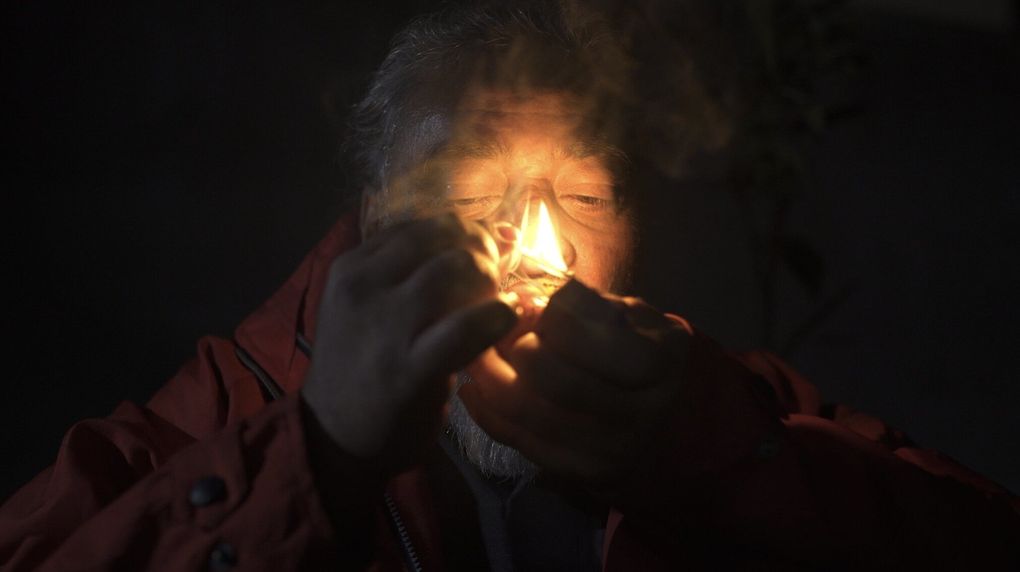 Apples in the Dark (2024)