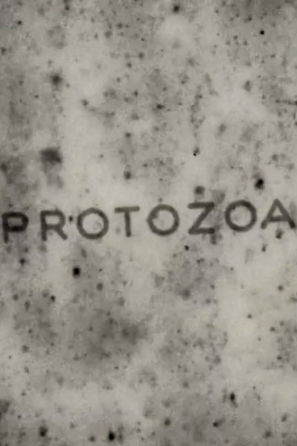 Protozoa