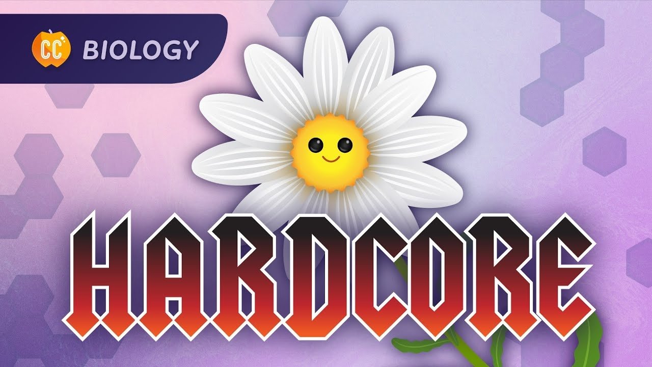Crash Course Biology - Épisode 42