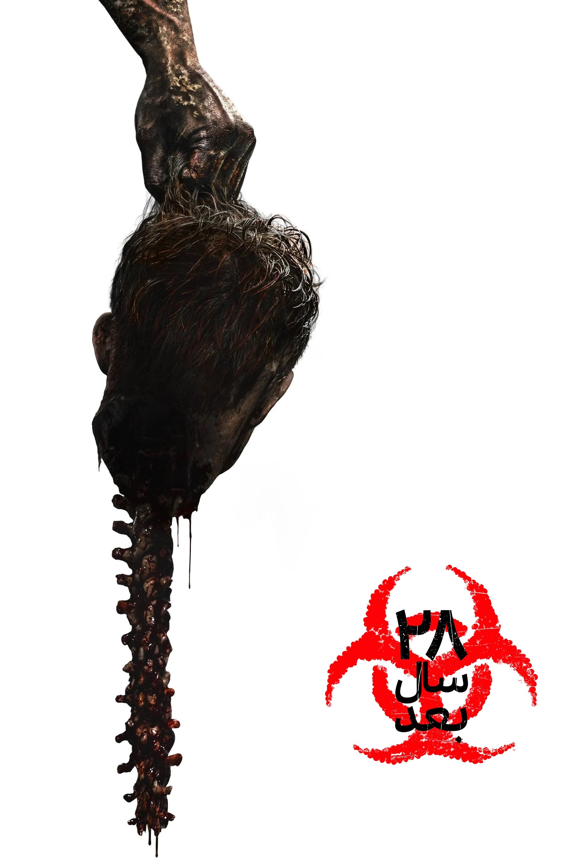image-preview