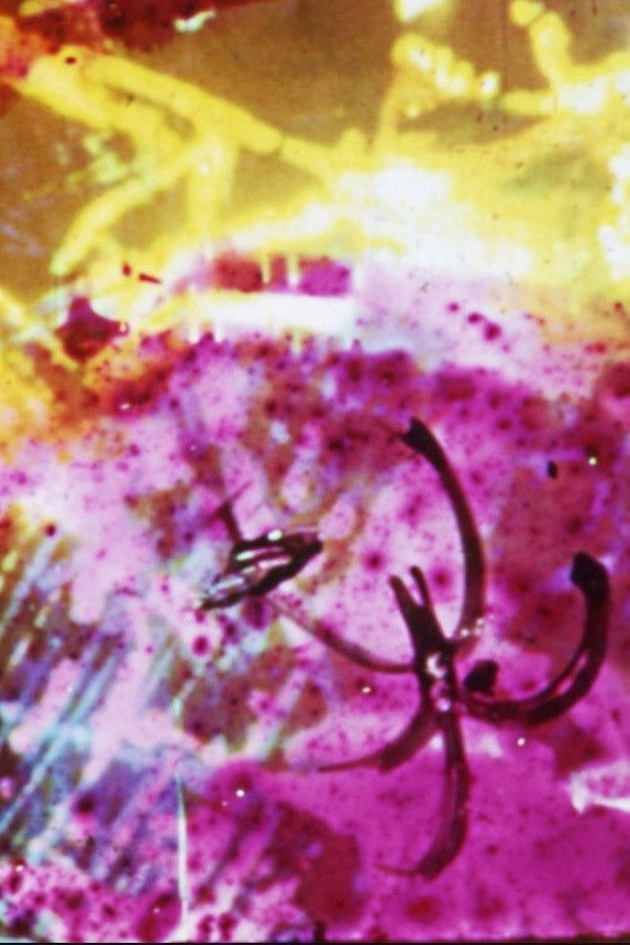 Poster for Alchemy Blues