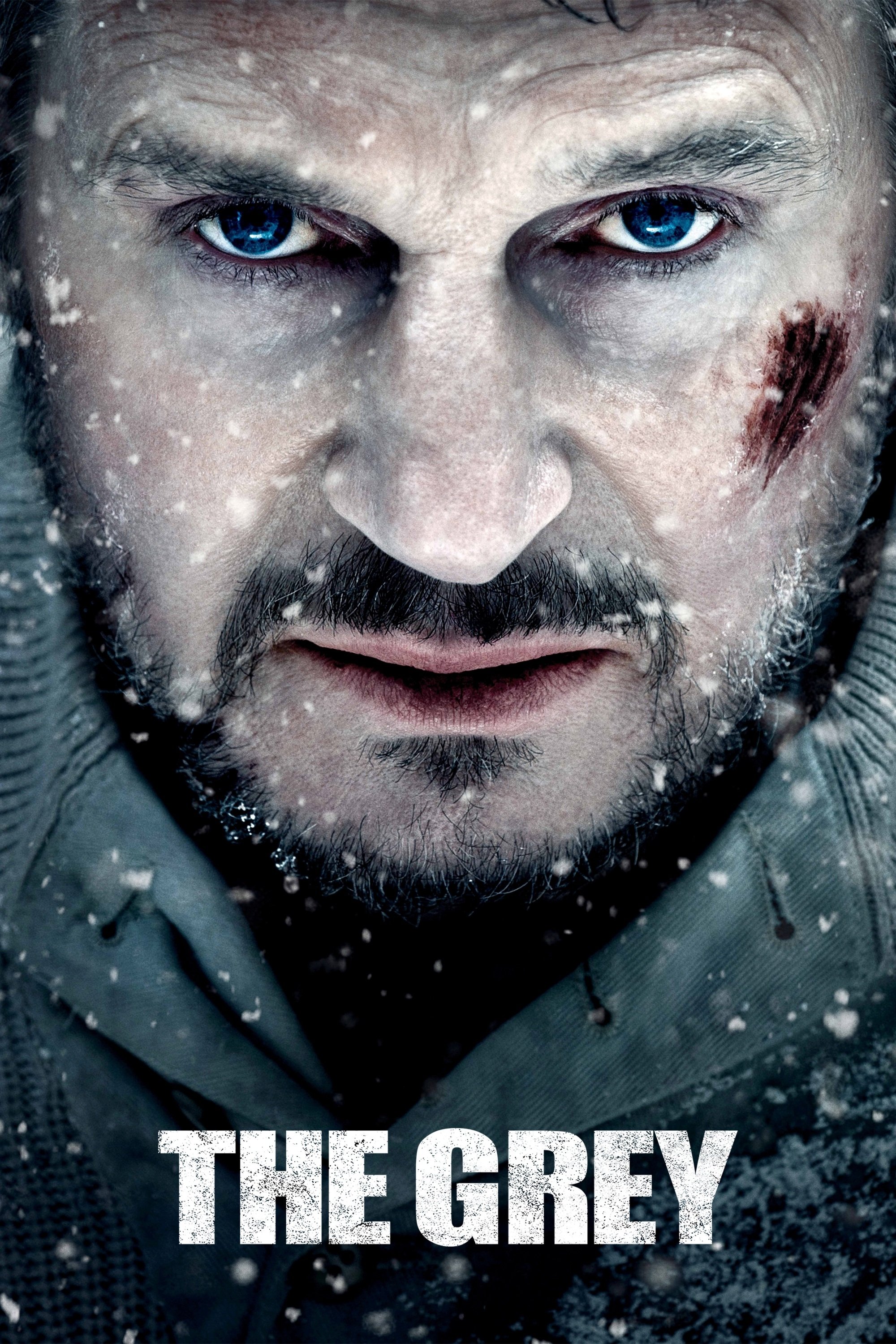The Grey