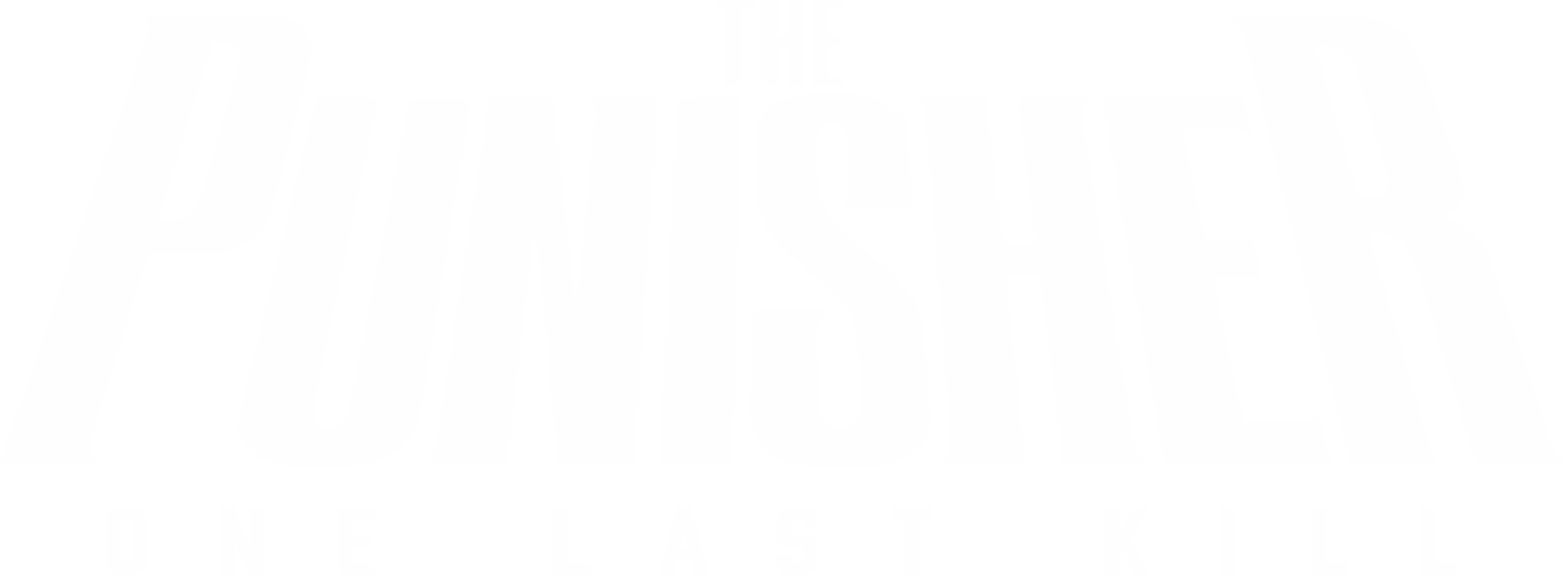 The Punisher : One Last Kill