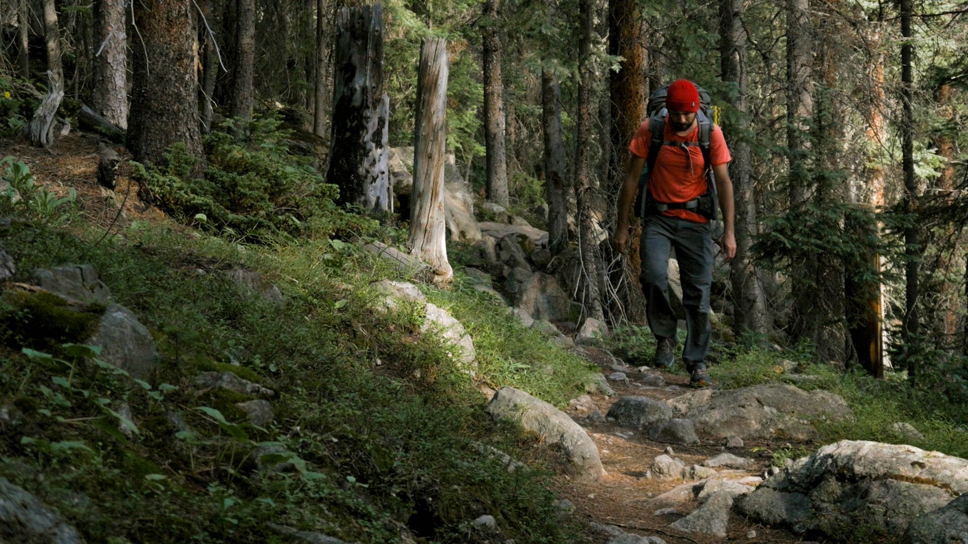 Imagem do Filme Why Do I Hike
