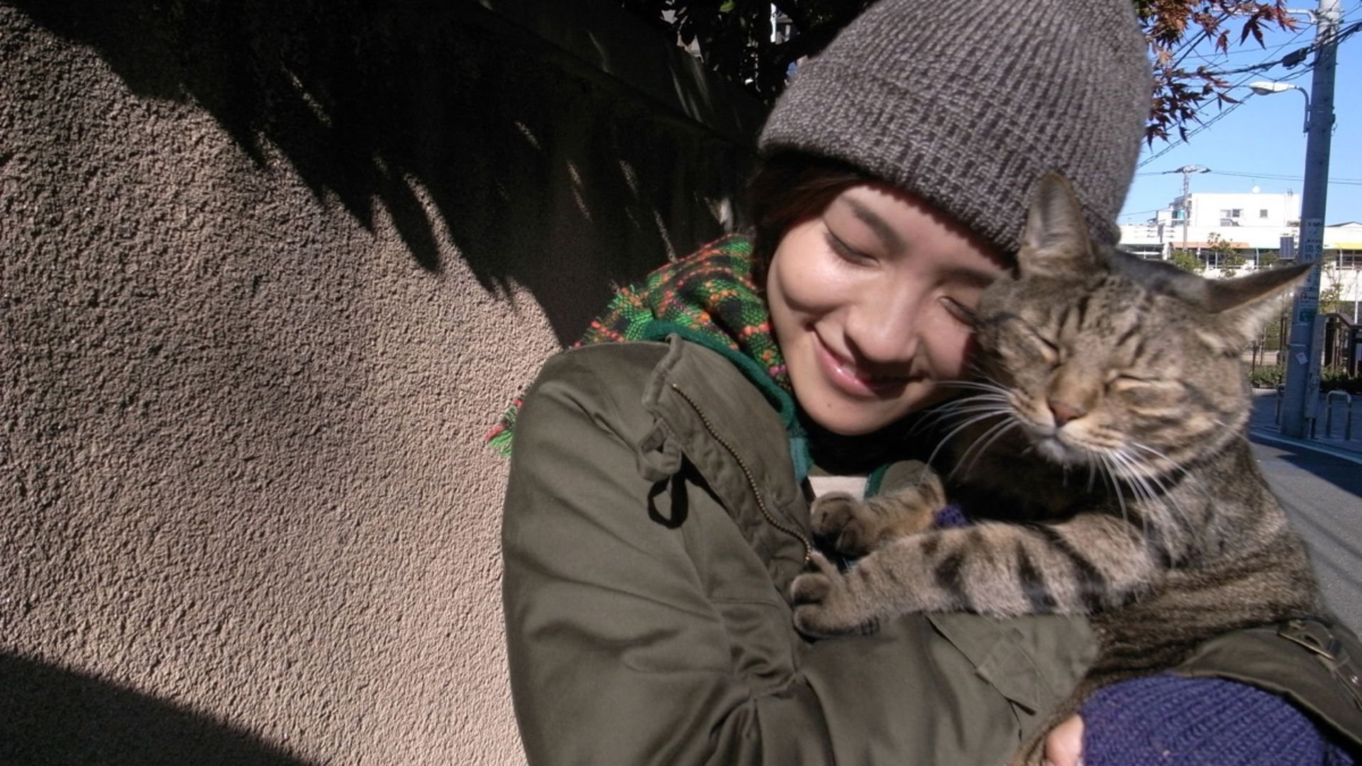 I’m a Cat Stalker (2009)