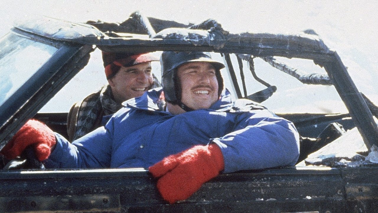 Planes, Trains and Automobiles (1987)