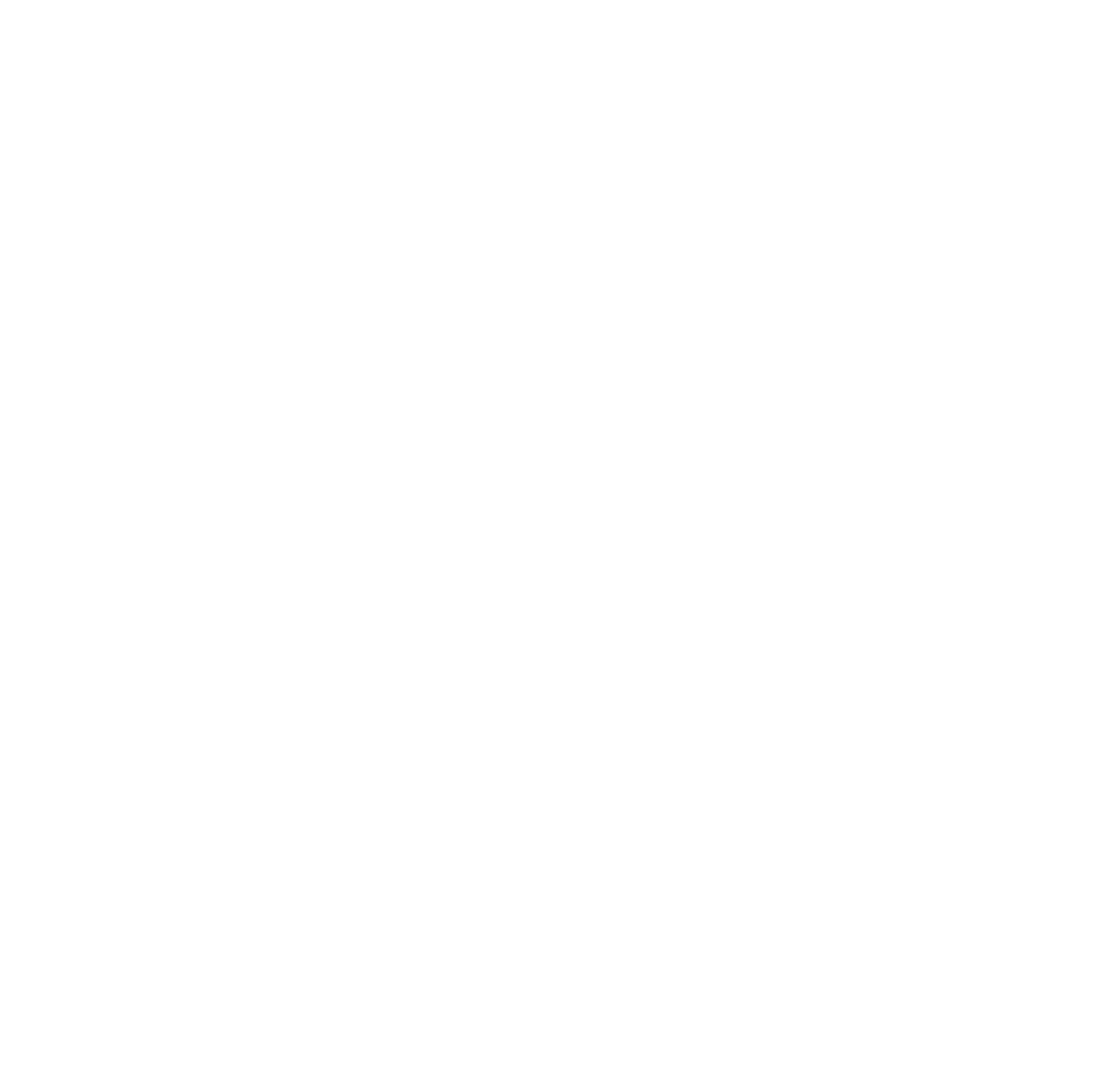 Zorro Logo