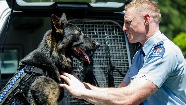 Dog Squad Puppy School