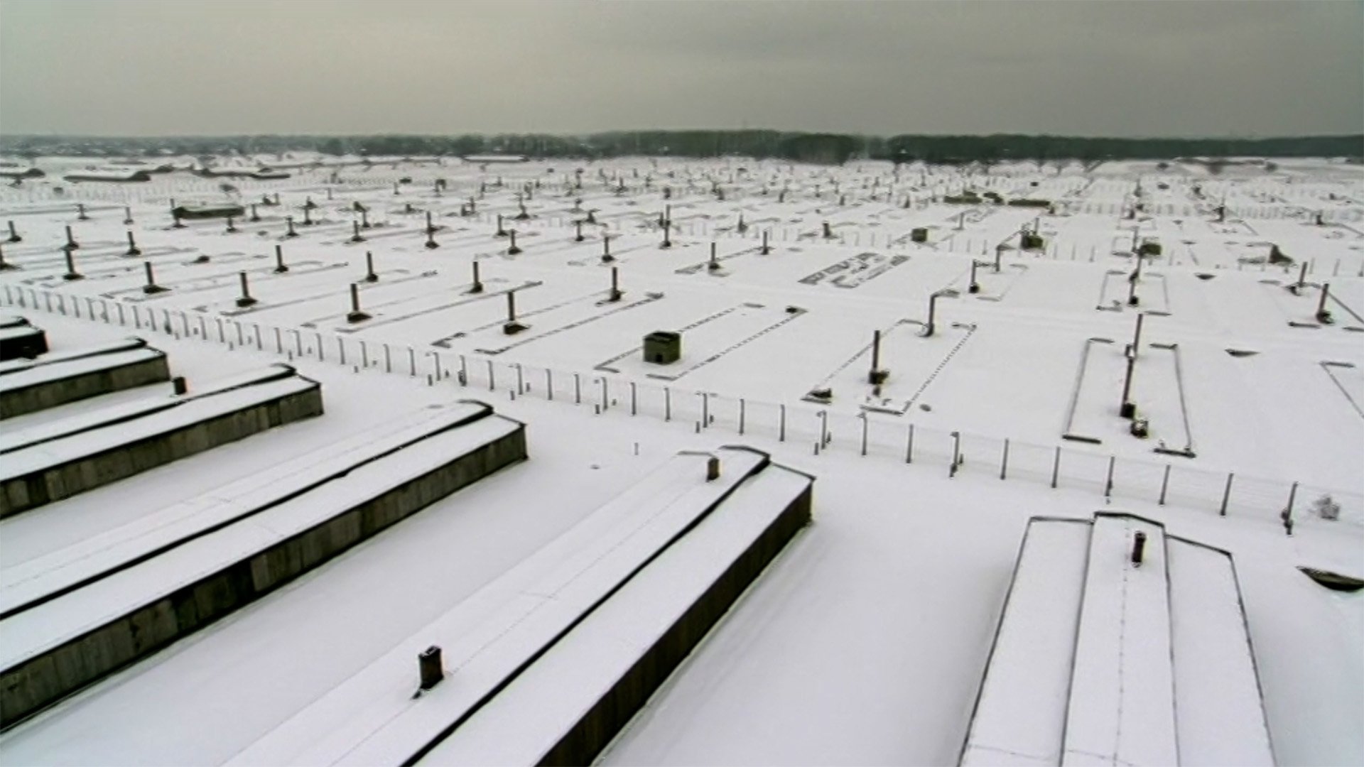 Auschwitz: The Nazis and the Final Solution
