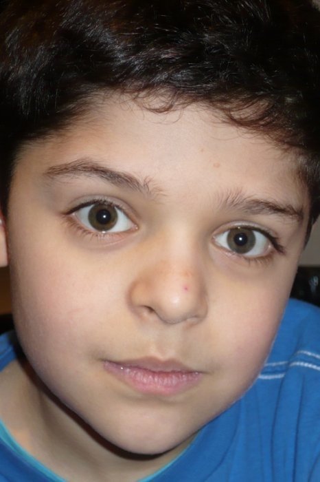 et billede af Noam Chemama