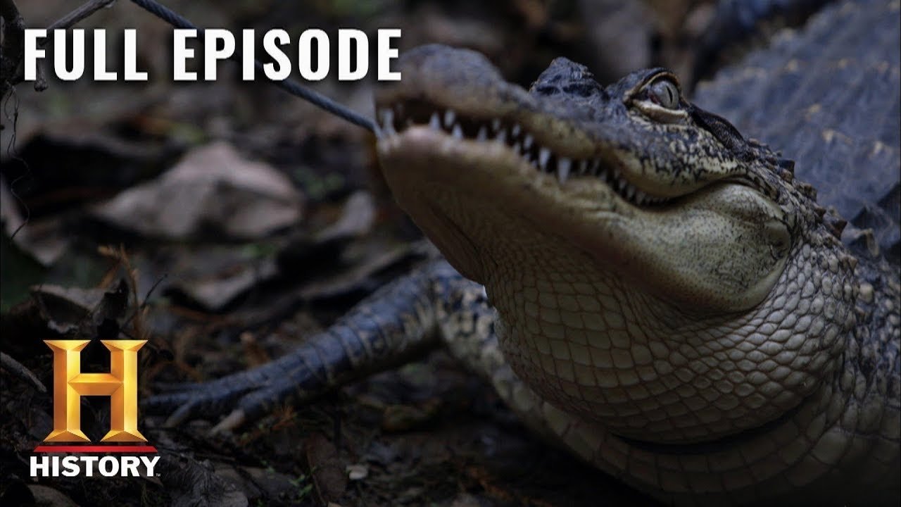 Thumbnail for We're the Hunted Season 1 Episode 5