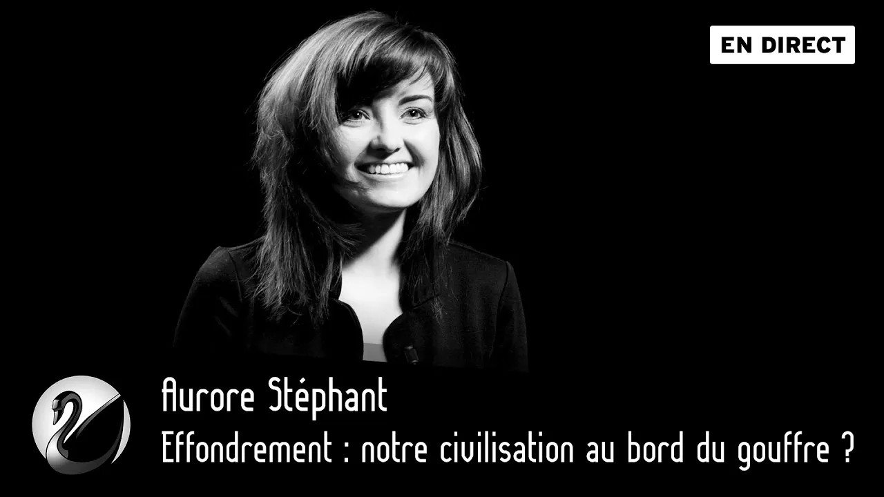 Thinkerview - Effondrement : notre civilisation au bord du gouffre ? Aurore Stéphant