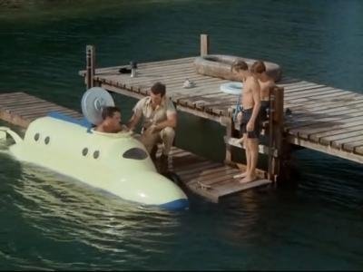 Flipper