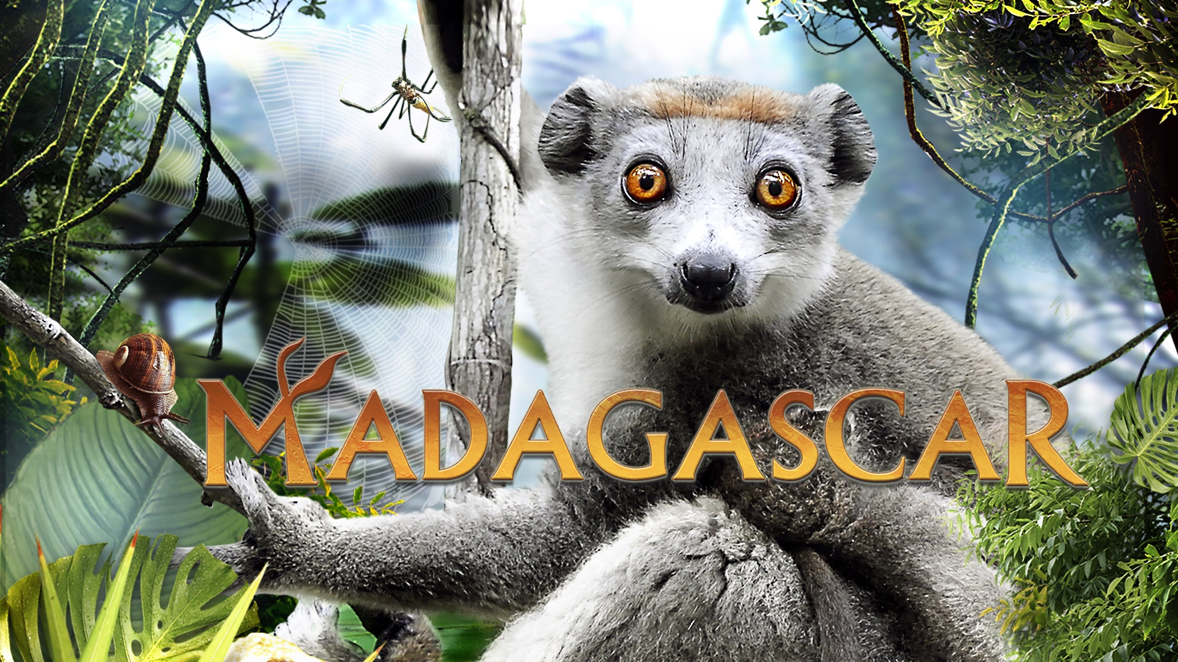 Madagascar 3D (2013)