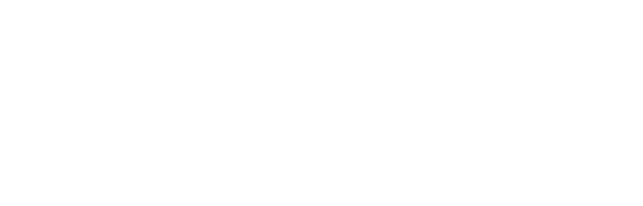2 Weeks in Lagos Logo