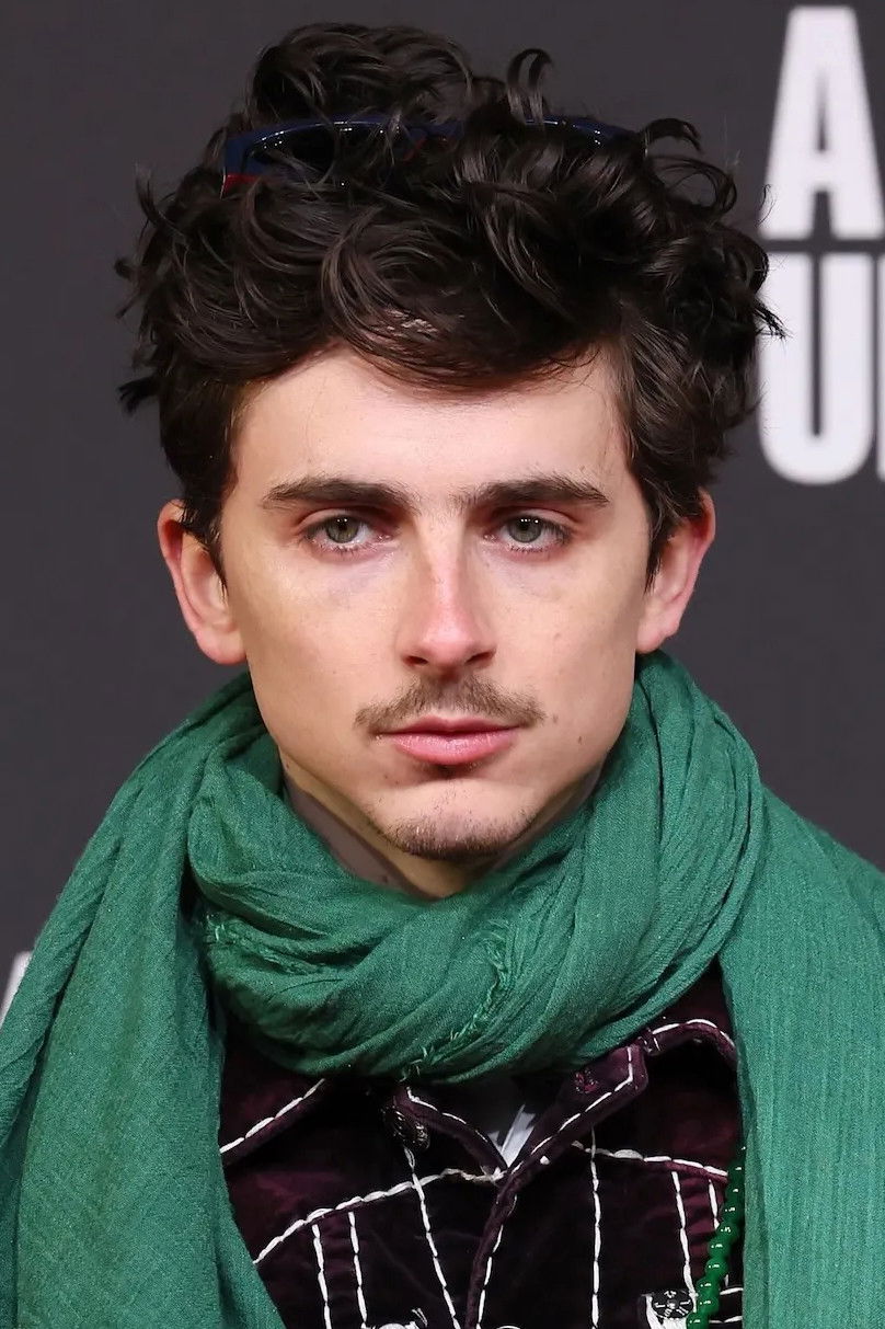 et billede af Timothée Chalamet