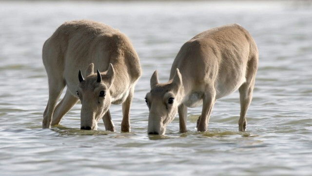 Thumbnail for Episode 2 Season 1 Episode 2