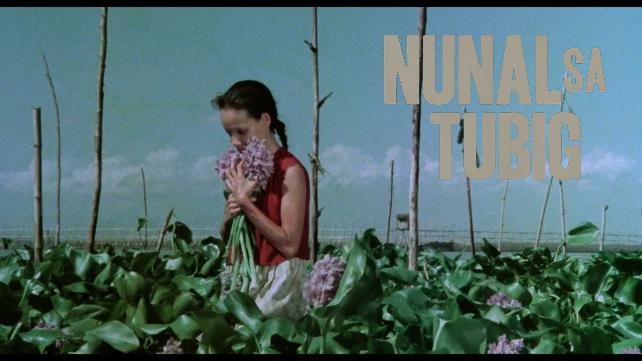 A Speck in the Water