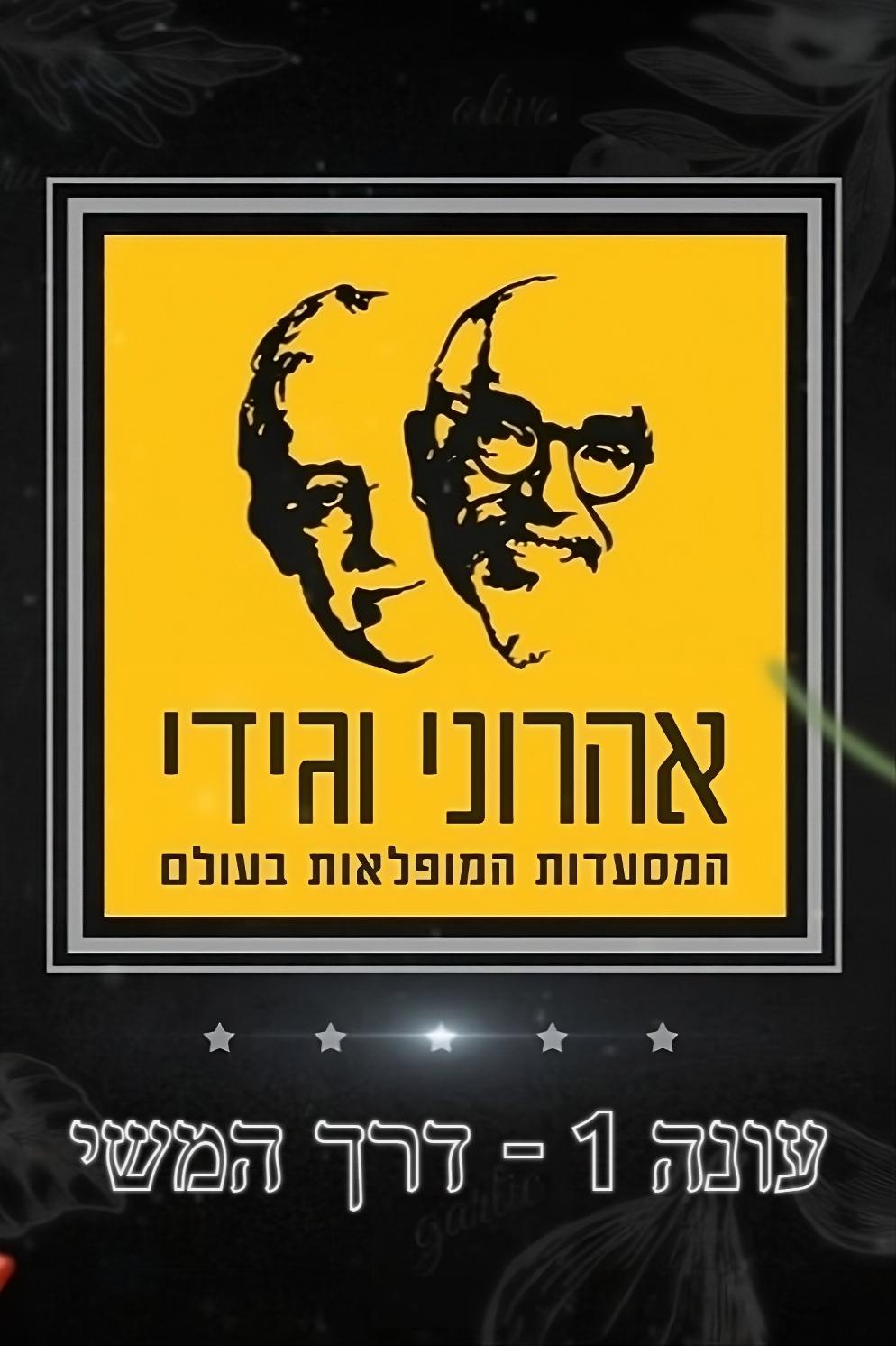 The Amazing Journey of Aharoni & Gidi - Season 1