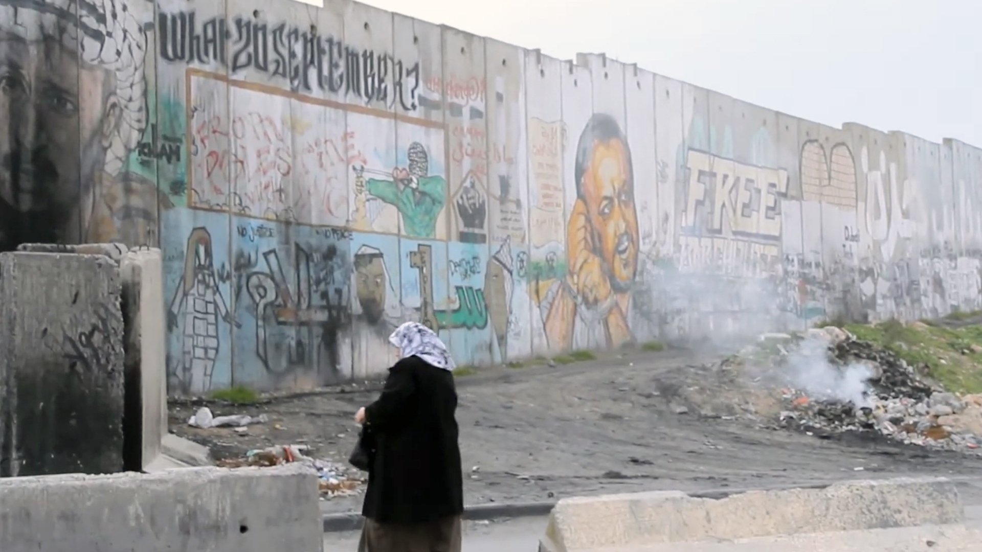Derrière les fronts : résistances et résiliences en Palestine (2017)