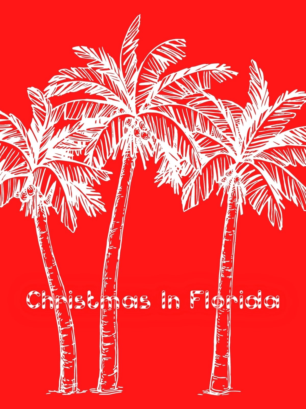Christmas In Florida