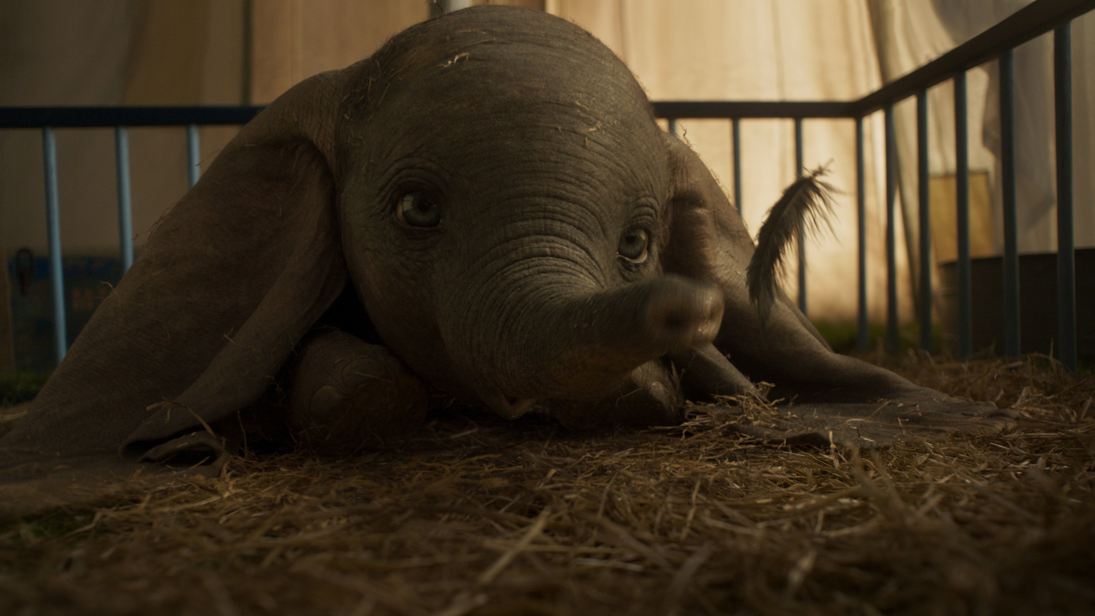 Image du film Dumbo lal3a86iew3lfwlblhgd0oh1x8cjpg