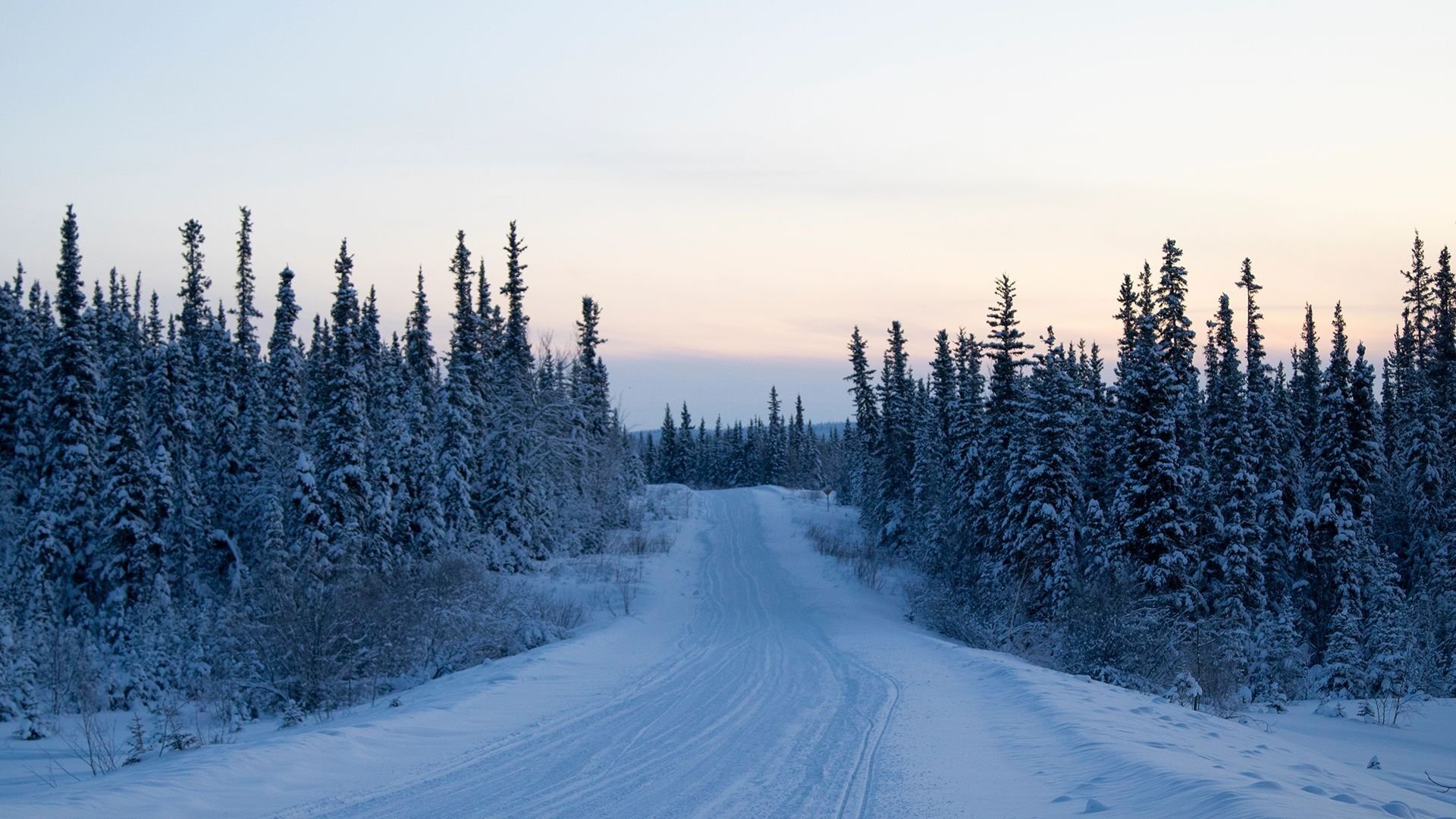 Life Below Zero: Northern Territories