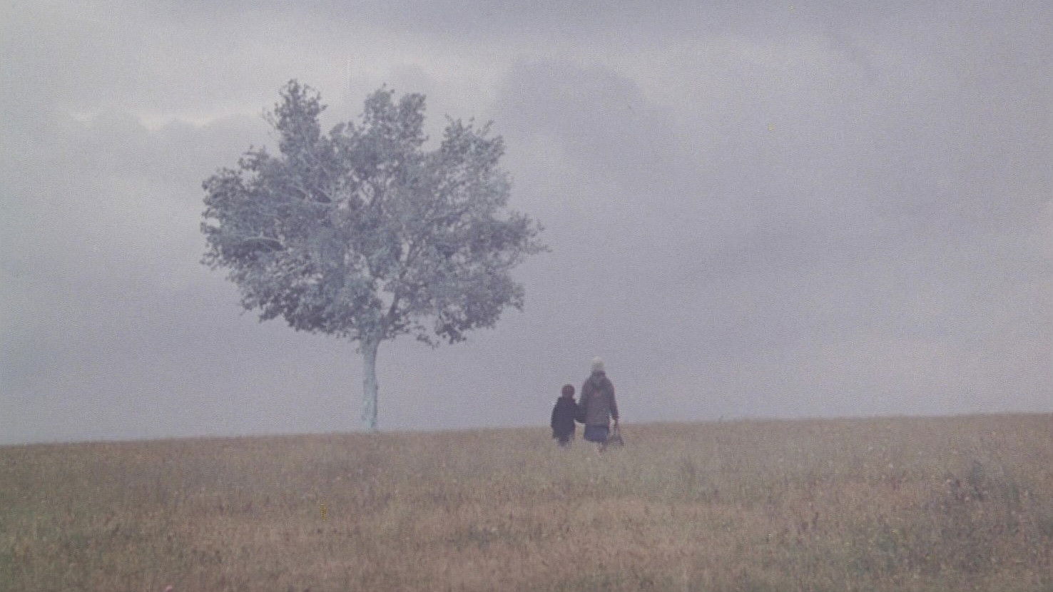 Landscape in the Mist