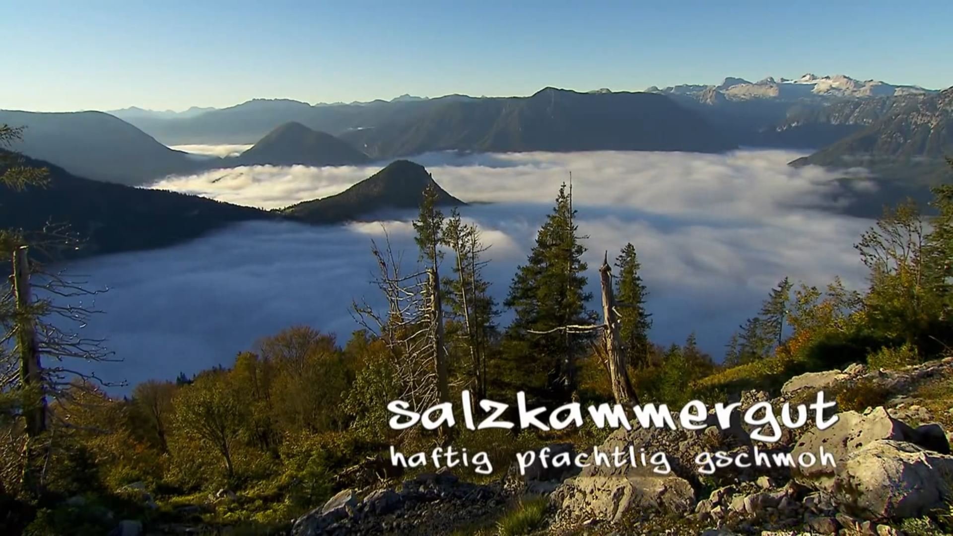 salzkammergut - haftig, pfachtlig, gschmoh