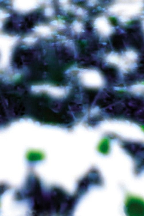 Content cover