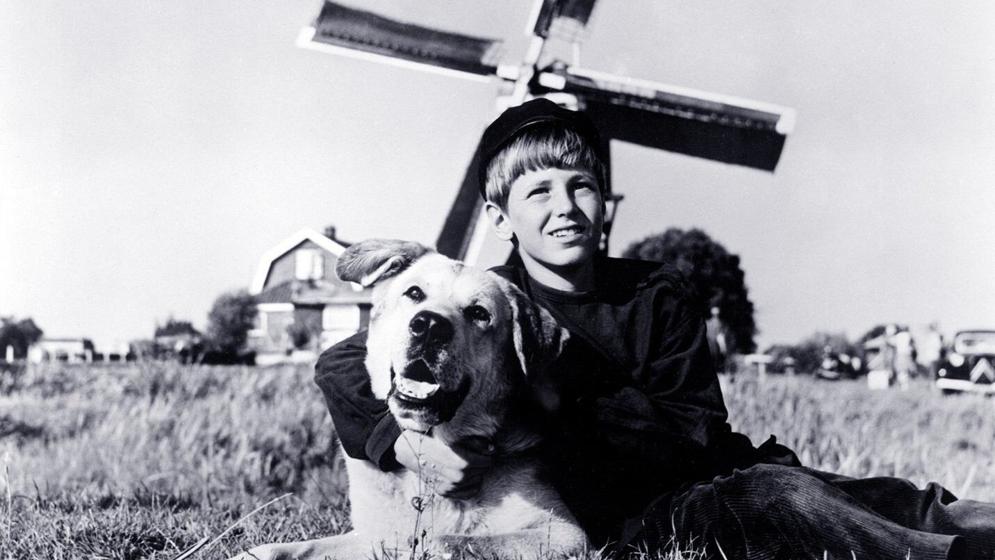 A Dog of Flanders (1959)